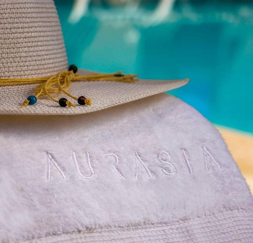 Hotel Aurasia 3*